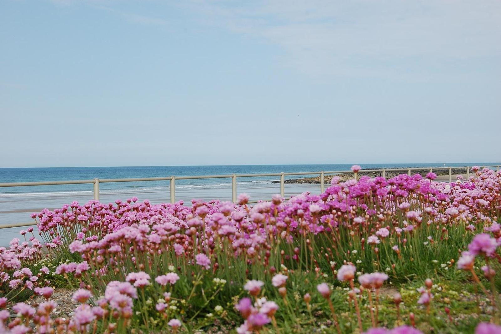 Salt Marsh Apartment Tywyn Ngoại thất bức ảnh